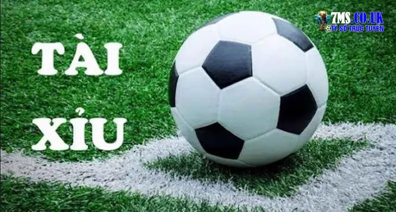 Kèo tài xỉu là gì? Kinh nghiệm bắt kèo tài xỉu chuẩn nhất